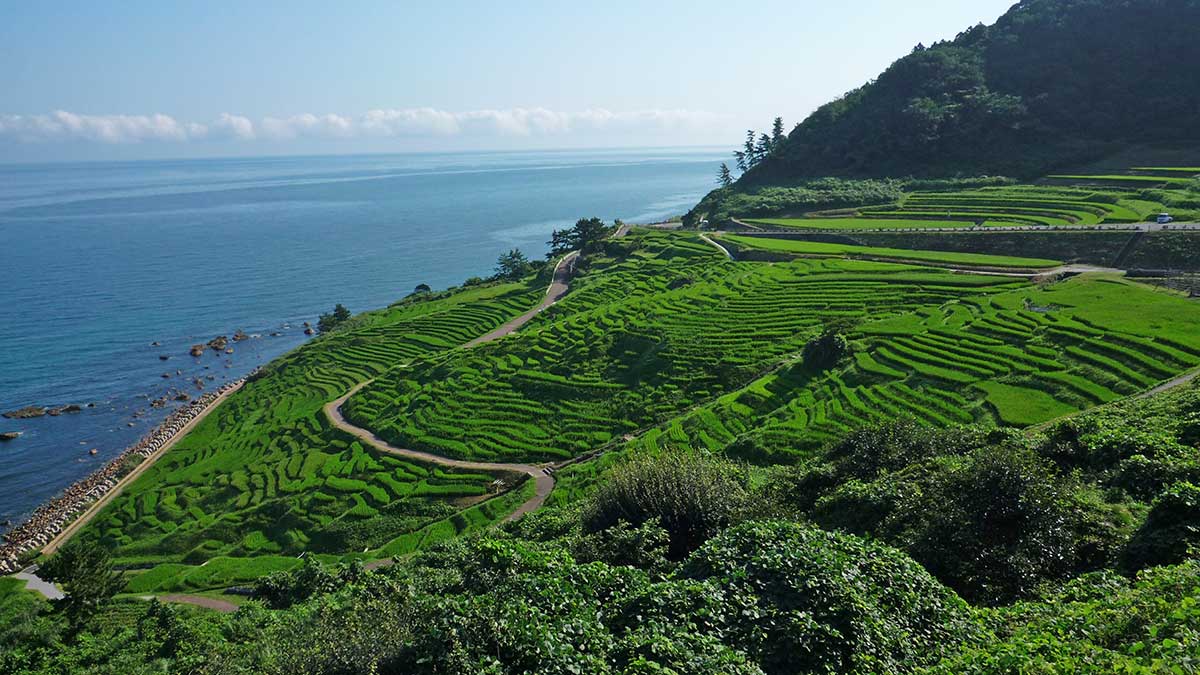 Shiroyone Senmaida Rice Terraces