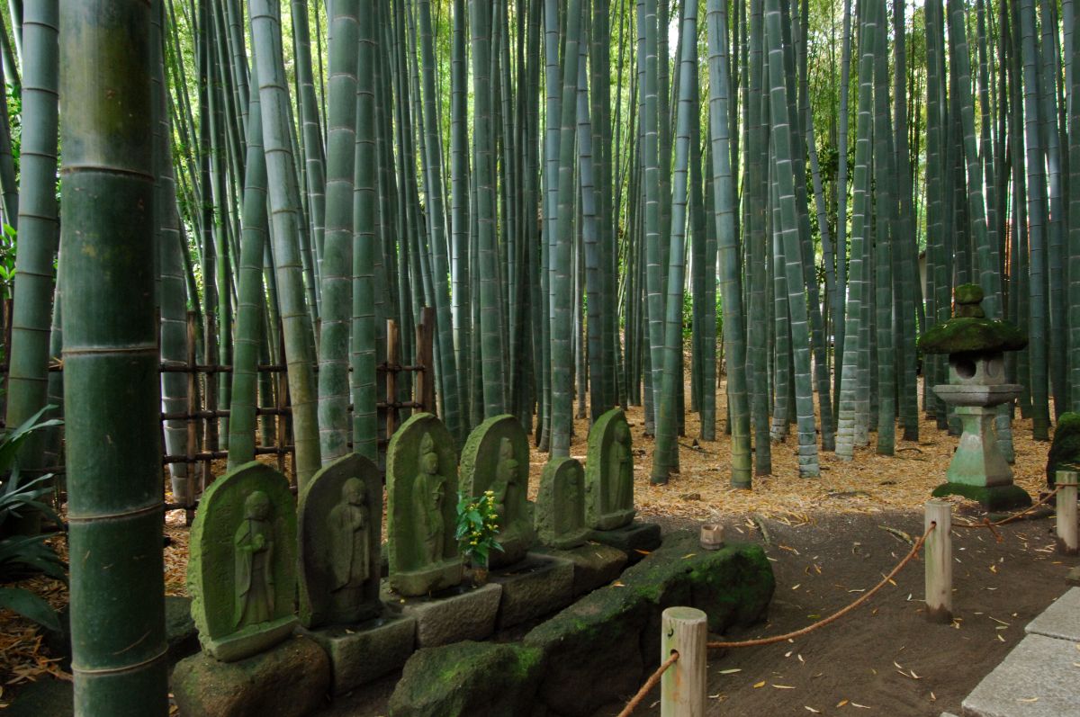 Hokokuji Temple