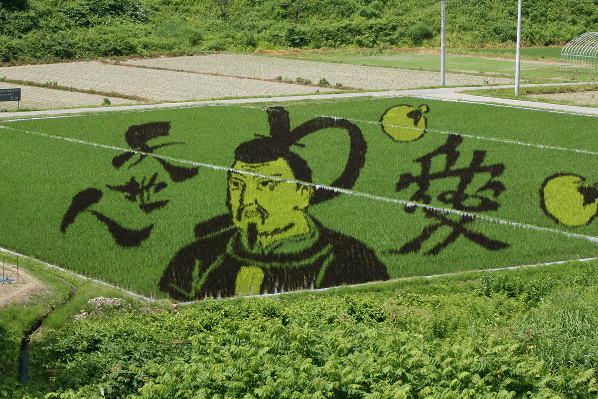 Yonezawa Tanbo Art Rice Field