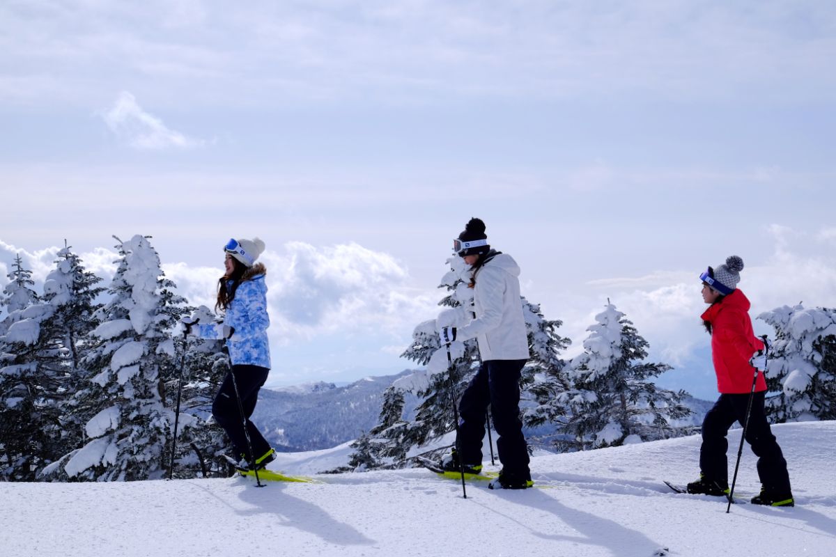 Shigakogen Highland Ski Area