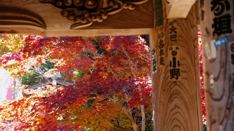 daishoin