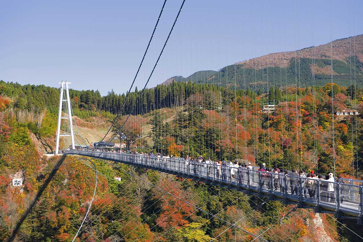 Kokonoe Yume Suspension Bridge