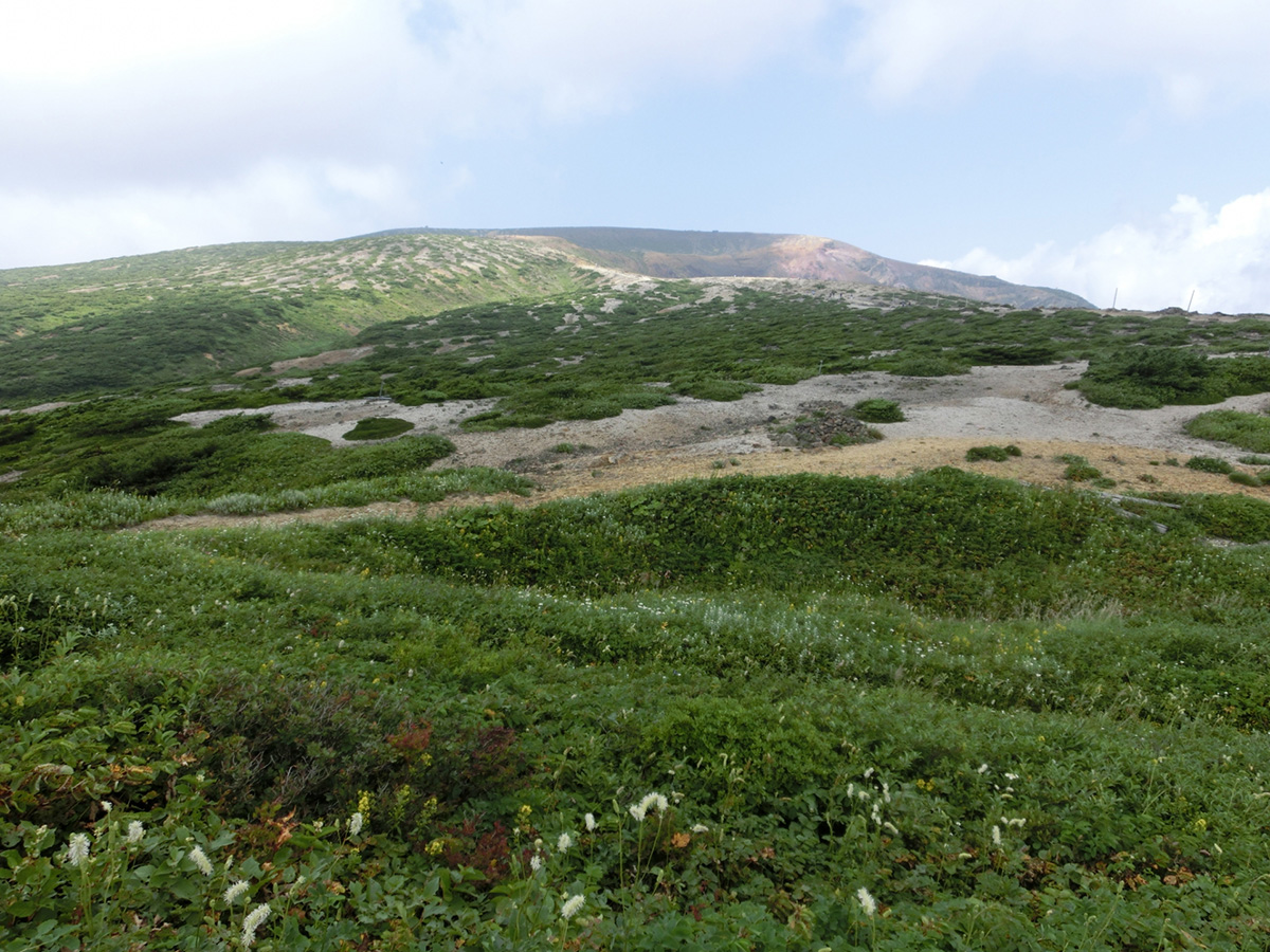 Mt. Zao