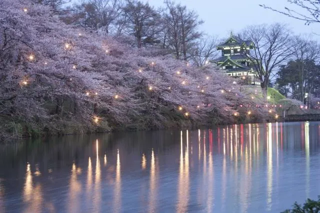 cherryblossom_japan