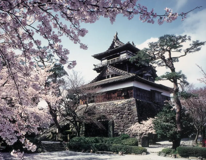 maruokajo_castle