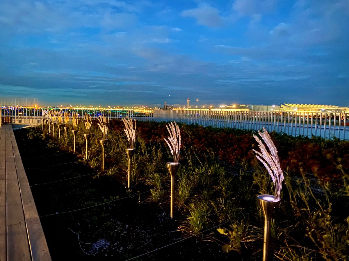 HANEDA INNOVATION CITY-3