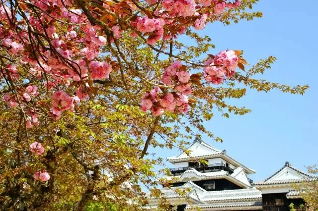 japanese castle ehime