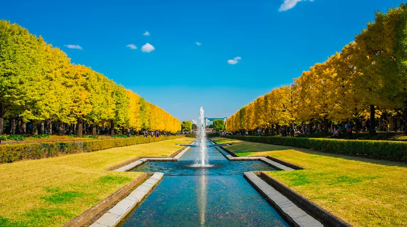 showa_memorial_park