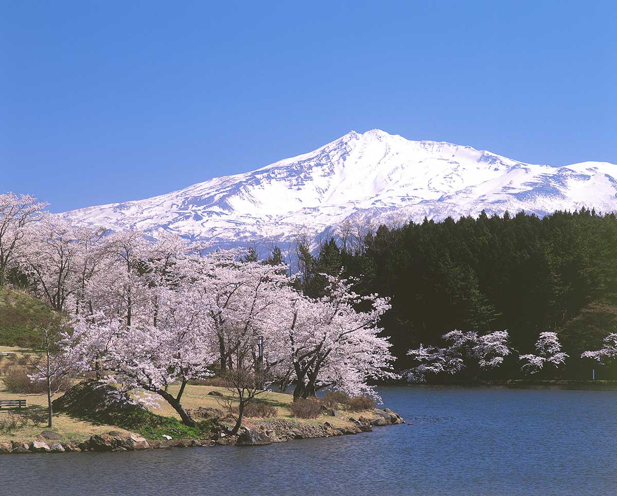 Seishi Koen Park