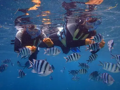 Snorkeling Near Tokyo for International Travelers