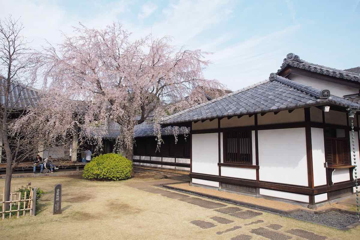 Tennoji Temple (Tokyo)