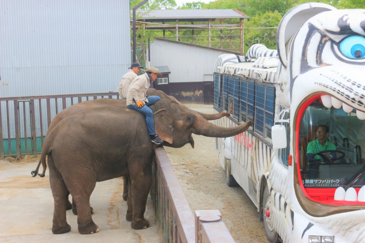 Nasu Safari Park