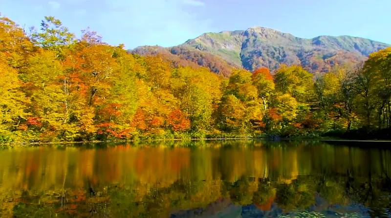 karikomiike_pond