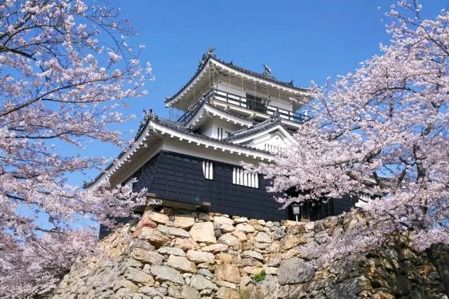 history_tokugawa_syogunate