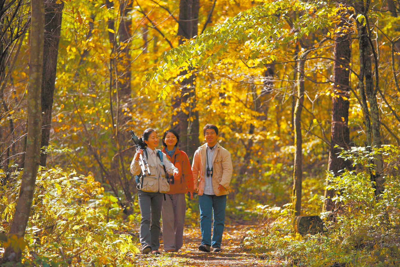 Karuizawa Wild Bird Sanctuary