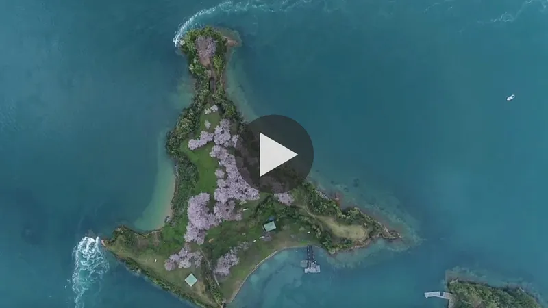 noshima_island