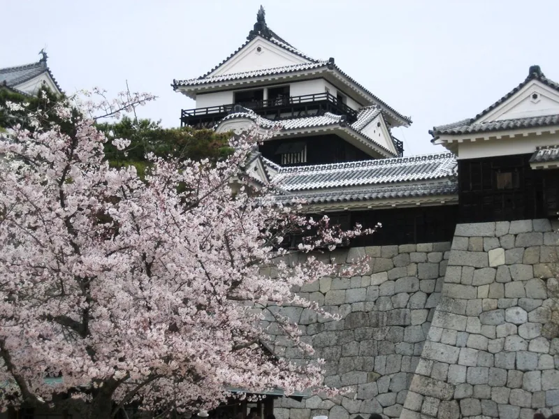 Matsuyama Castle