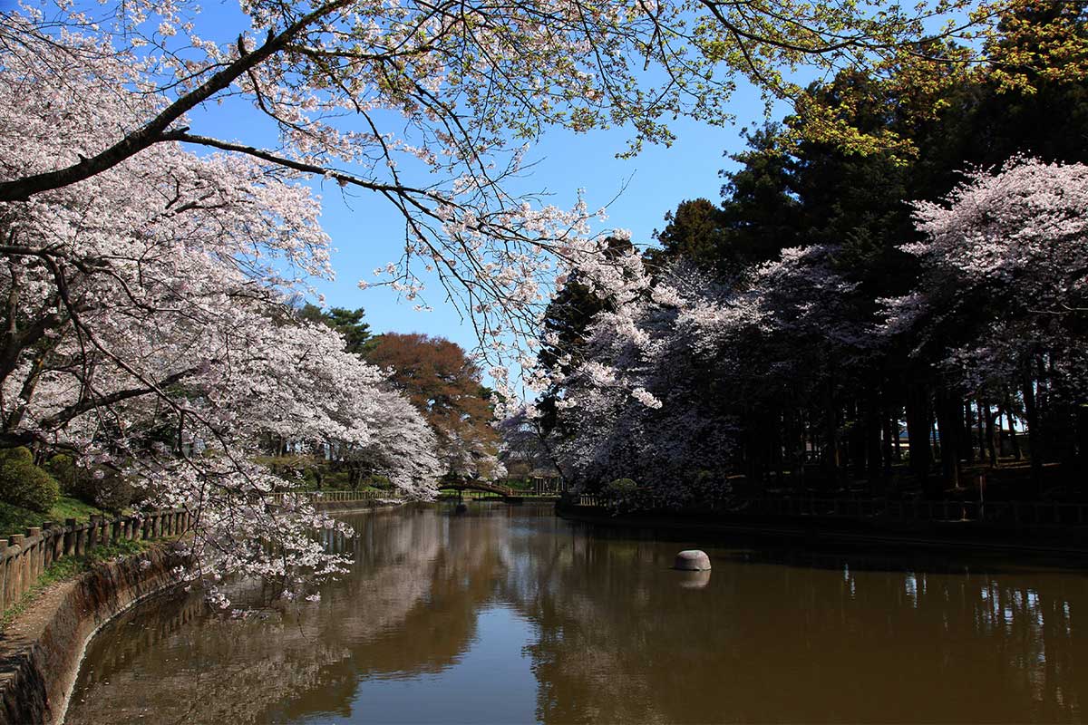 Mamada Hachiman Koen Park