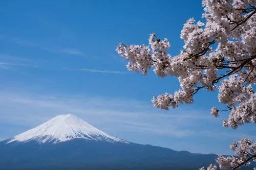 mountfuji_skytrek