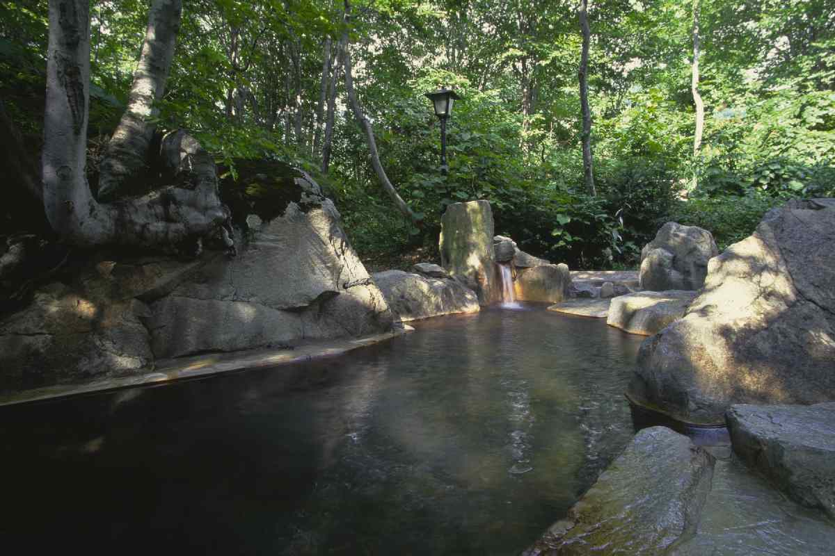 Otari Onsen Amakazari Kogen Rotenburo