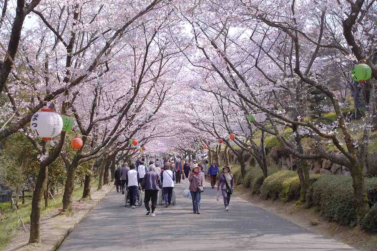 Kimbuchi Forest Park