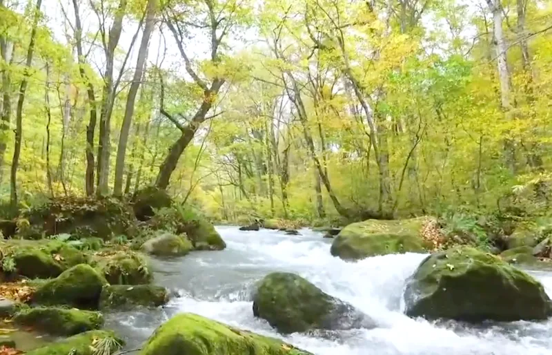 Oirase Valley