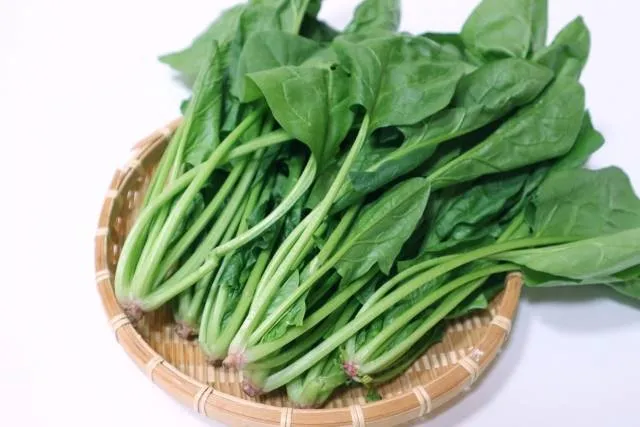 japanese vegetables