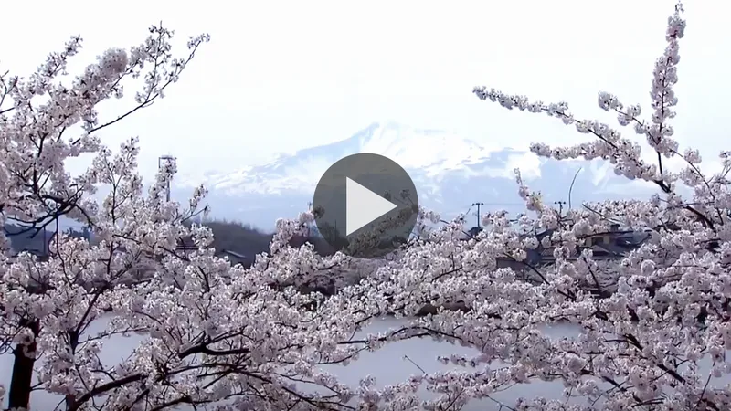 seishi_koen_park