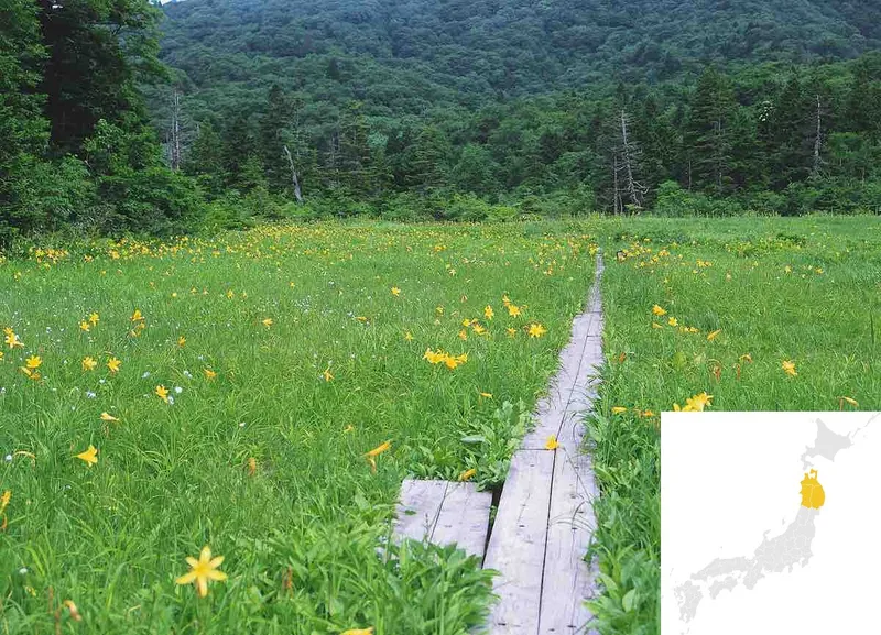 Towada Hachimantai National Park