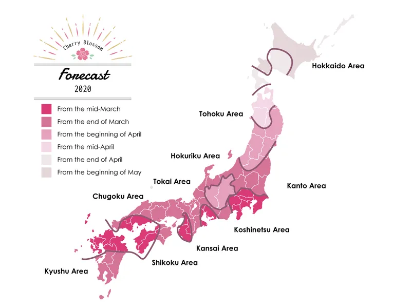 forecast
