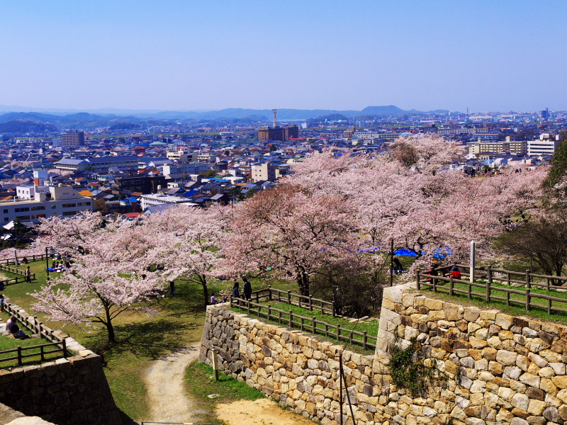 Tottorijo Castle Ruins (Hisamatsujo Castle Ruins)