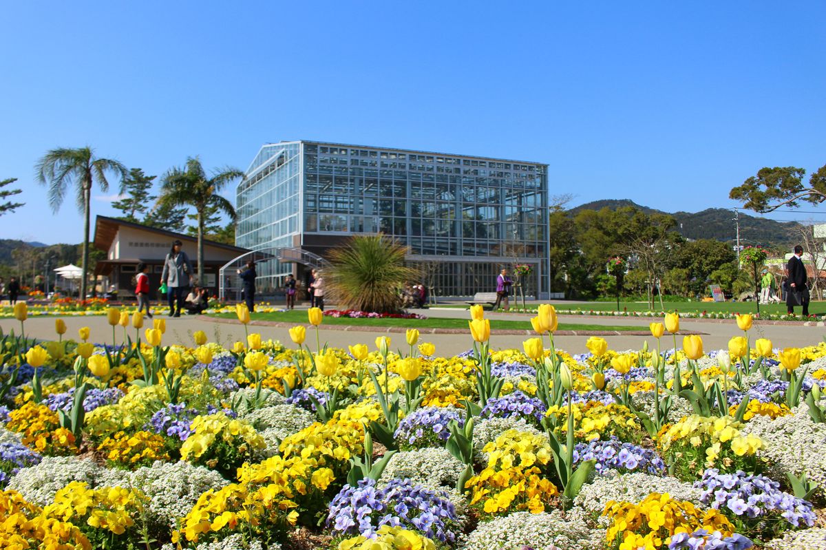 Miyako Botanic Garden Aoshima