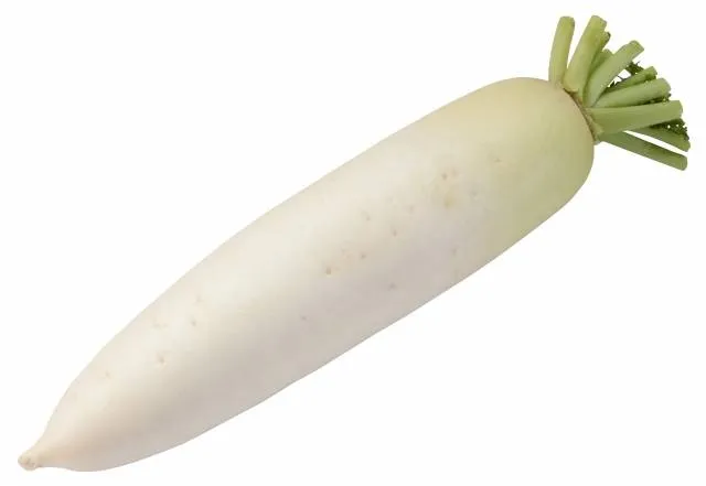 japanese vegetables