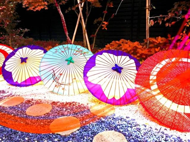 illumination_niigata