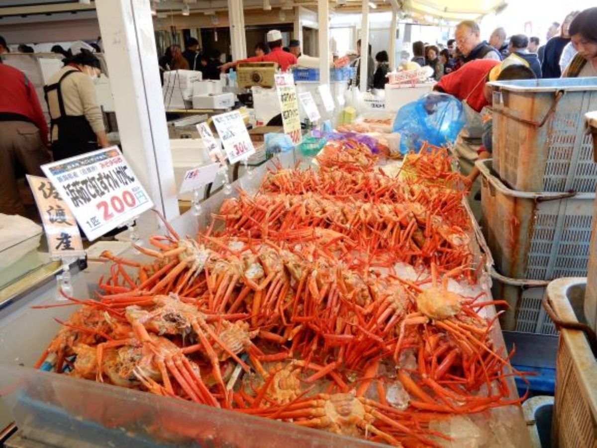 Teradomari Fish Market Street (Sakana no Ameyoko) 