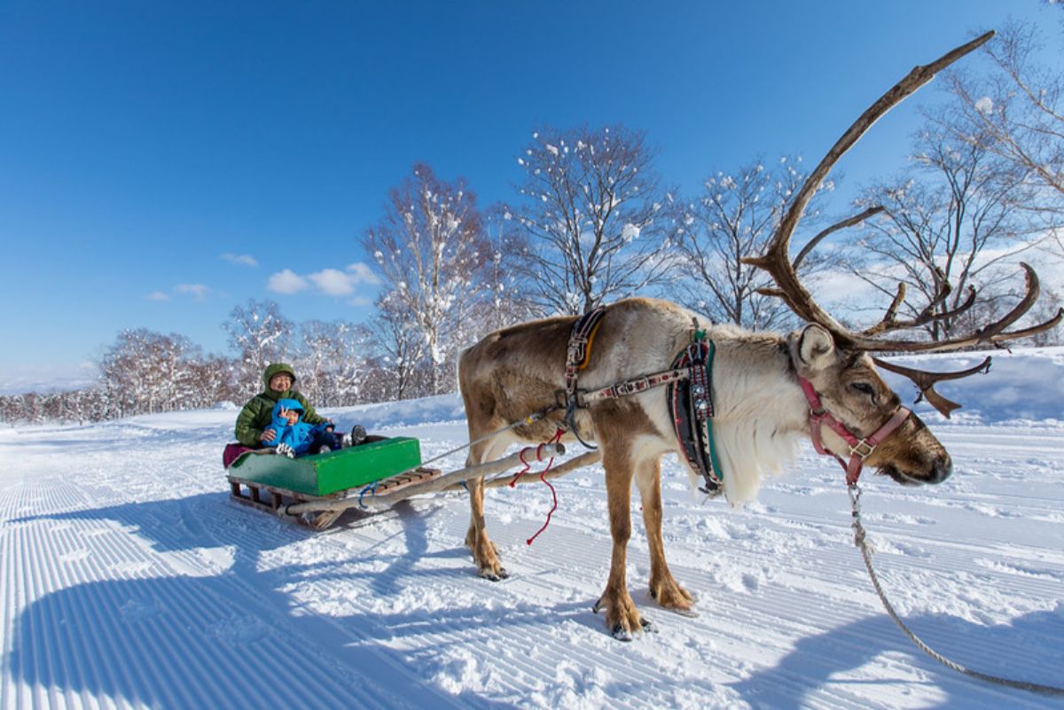 Niseko Village Ski Resort