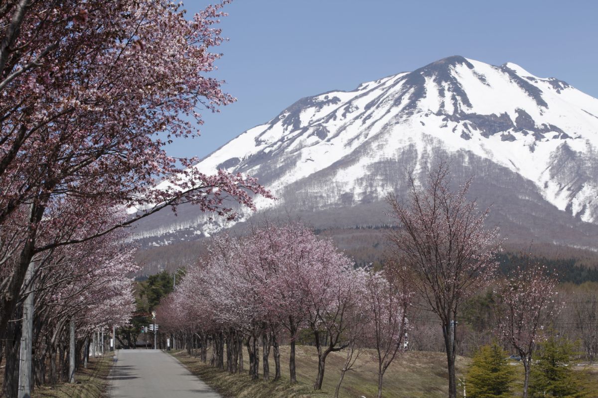 Mt. Iwaki