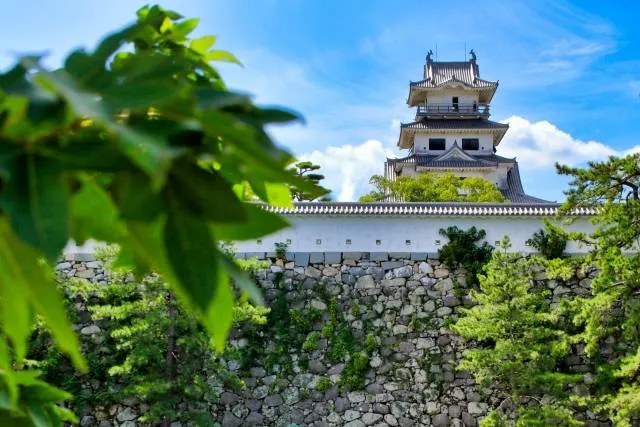 japanese castle ehime