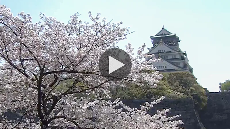 osaka_castle