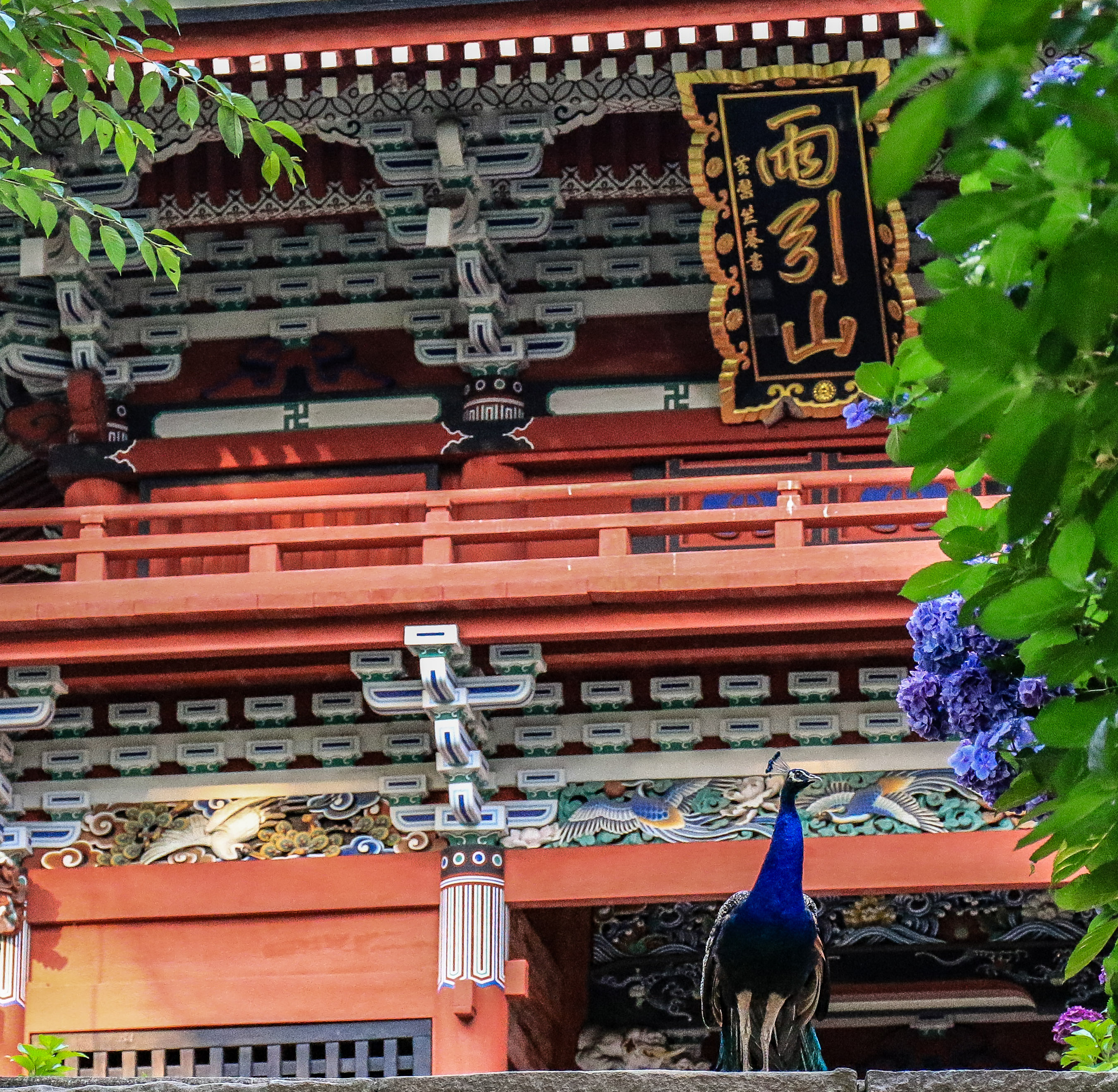 Amabikisan Rakuhoji Temple