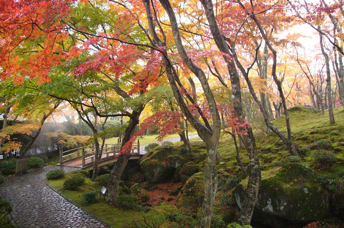 Hakone Museum of Art