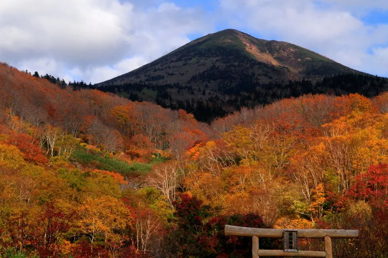 mt. hakkoda