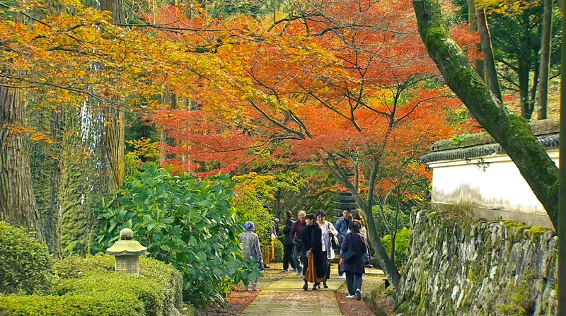 raizan_sennyoji_daihioin_temple