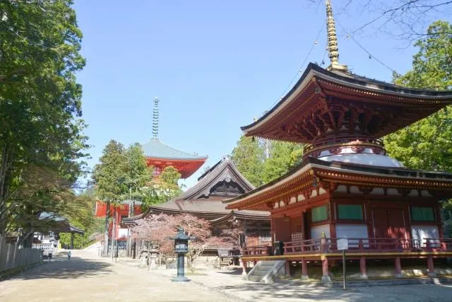 mt koyasan