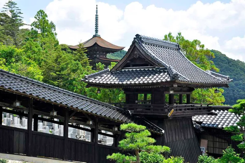 瑠璃光寺 夏