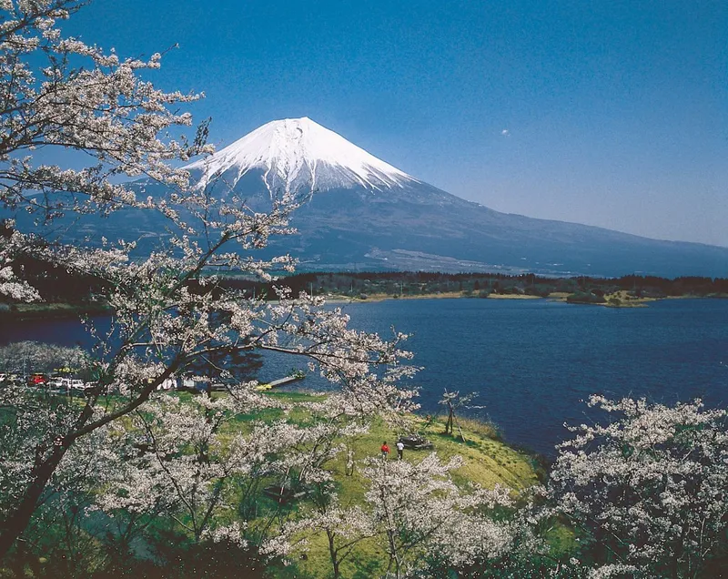 富士山