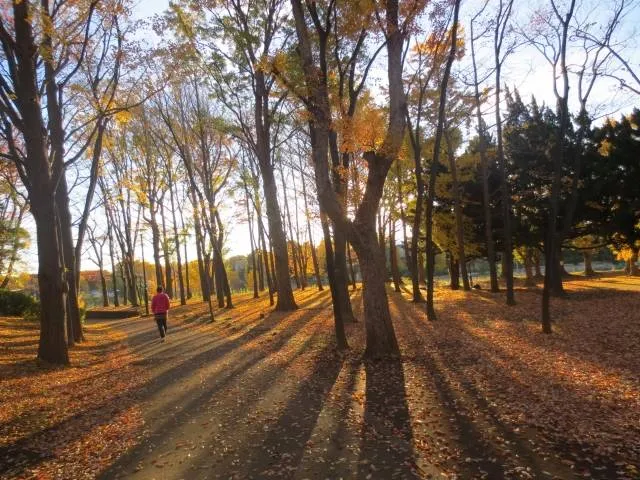 okayama marathon