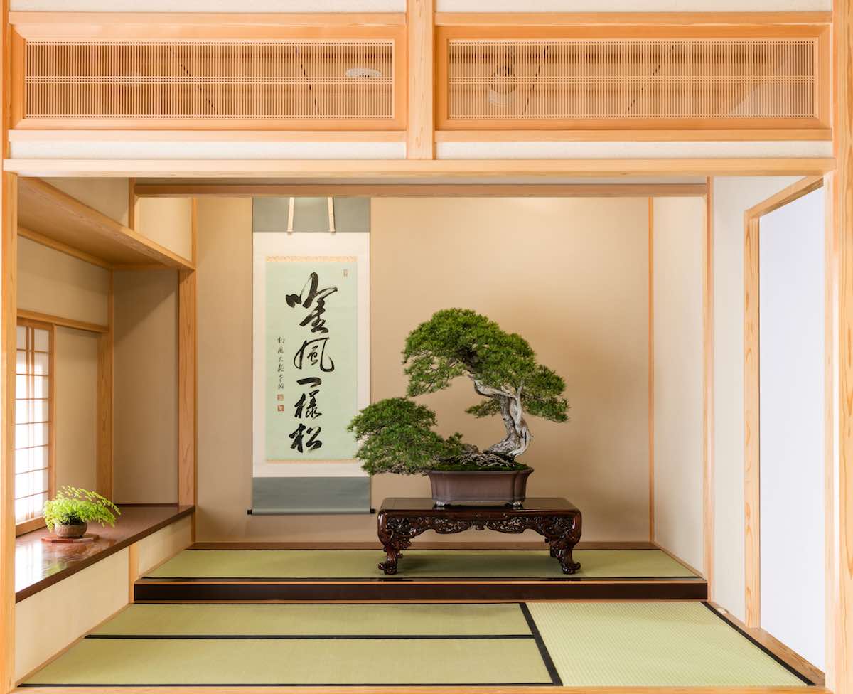 Omiya Bonsai Art Museum