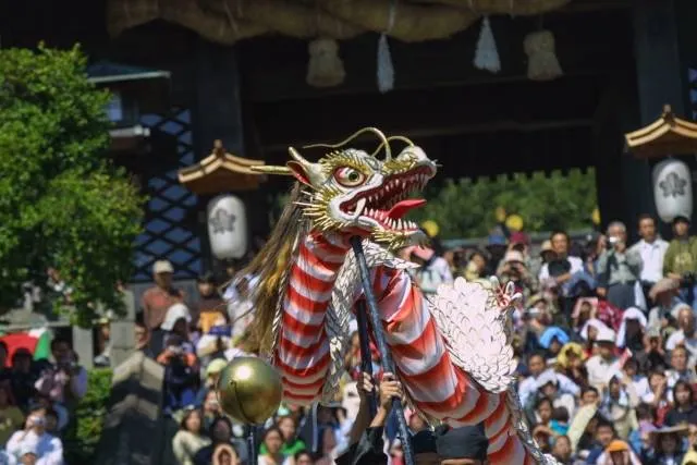 festival_kumamoto