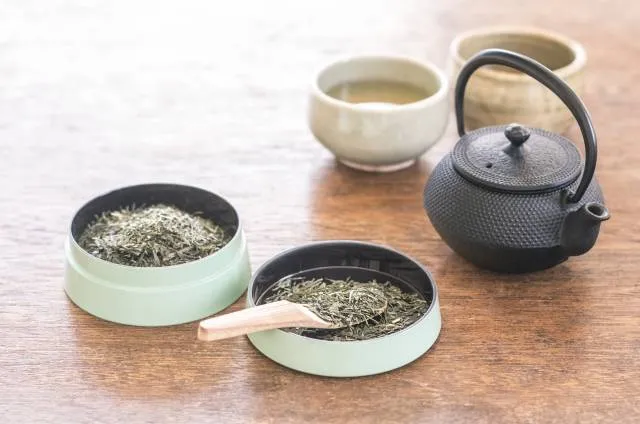greentea_fukuoka